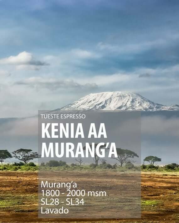 KENIA MURANG'A