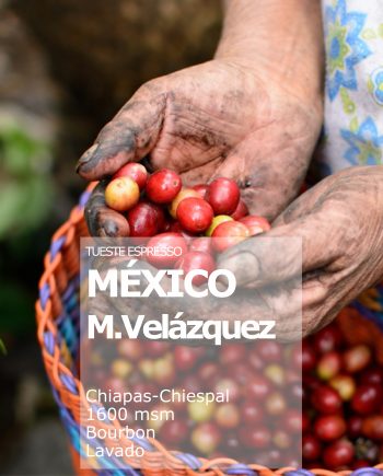 Mexico M.Velazquez